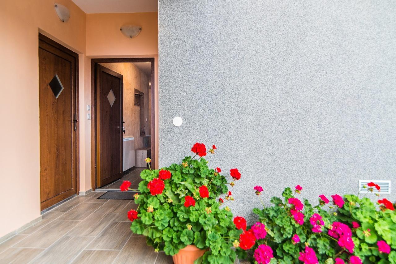 Apartment Stela Poreč Zewnętrze zdjęcie